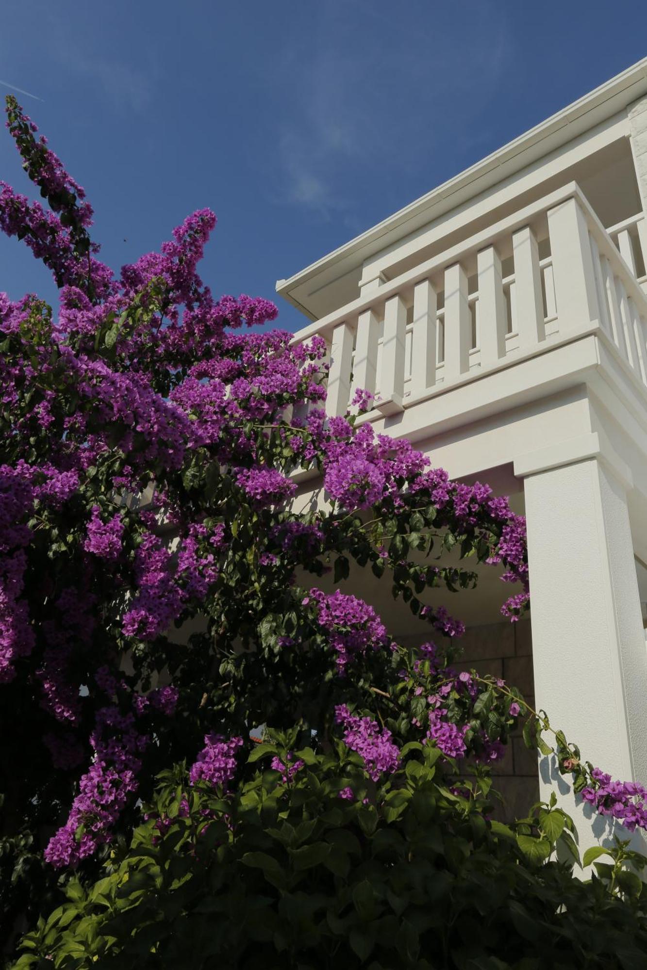 Apartments Marino Супетар Экстерьер фото